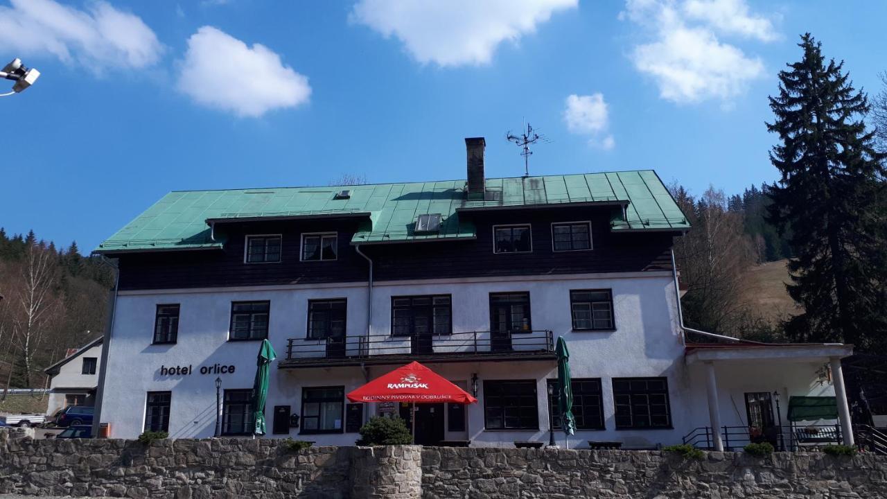 Hotel Orlice Destne v Orlickych horach Exterior photo